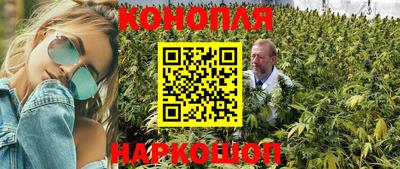 гидропоника Тверь