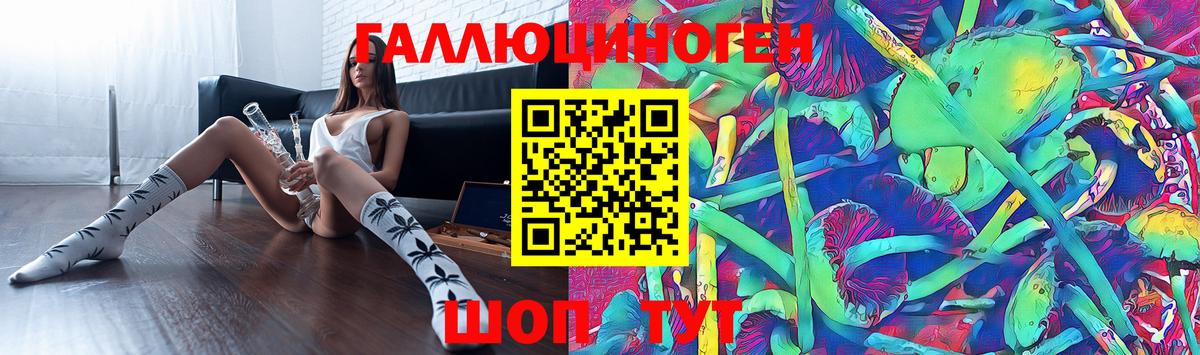 Псилоцибиновые грибы мухоморы Подольск